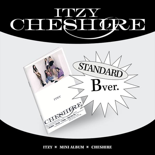 Standard B ver.
